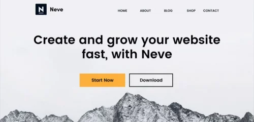 Online store in NEVE