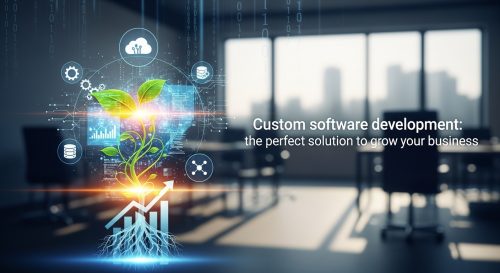 Desarrollo de software a medida